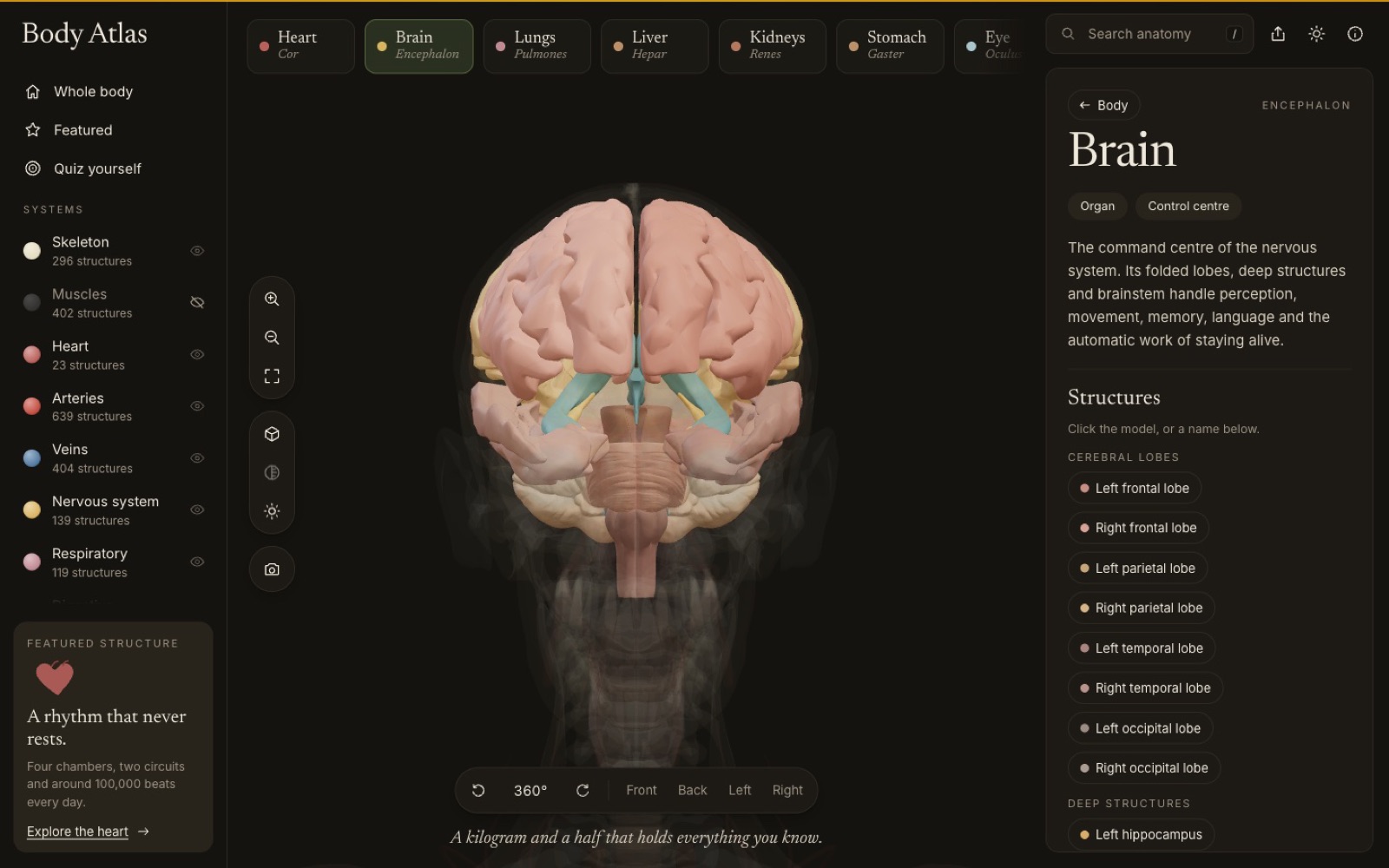 Brain deep-dive in the dark theme, lobe by lobe