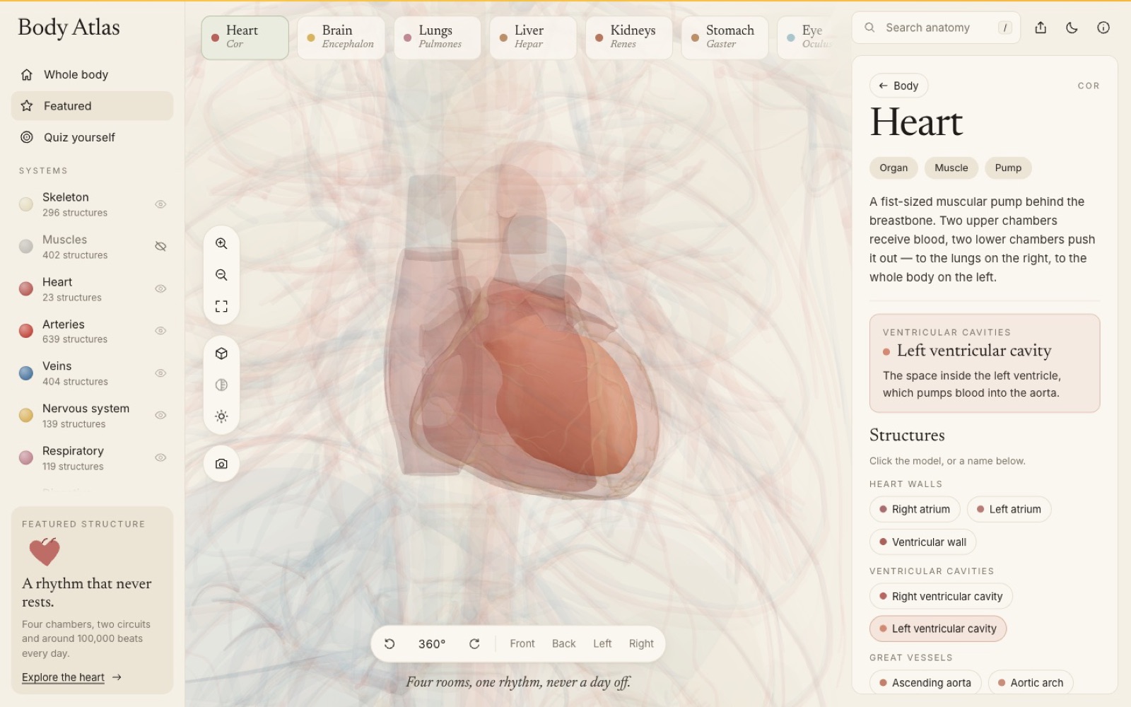 Heart deep-dive with the left ventricular cavity selected and a description panel
