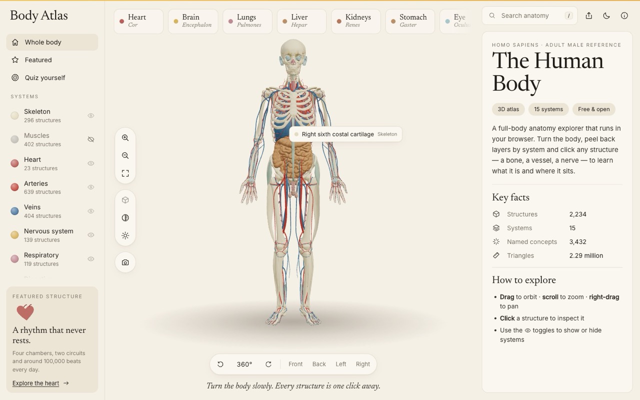 The whole human body in 3D with body-system layers in the sidebar and a hover label on a rib cartilage