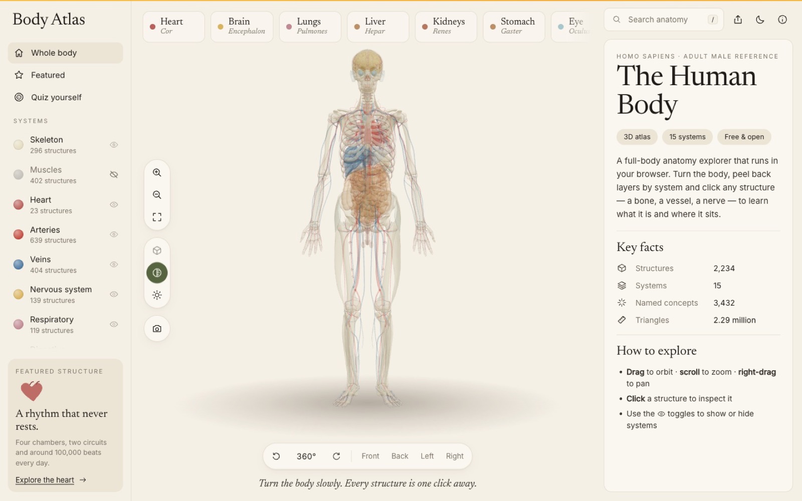X-ray mode with every body layer translucent